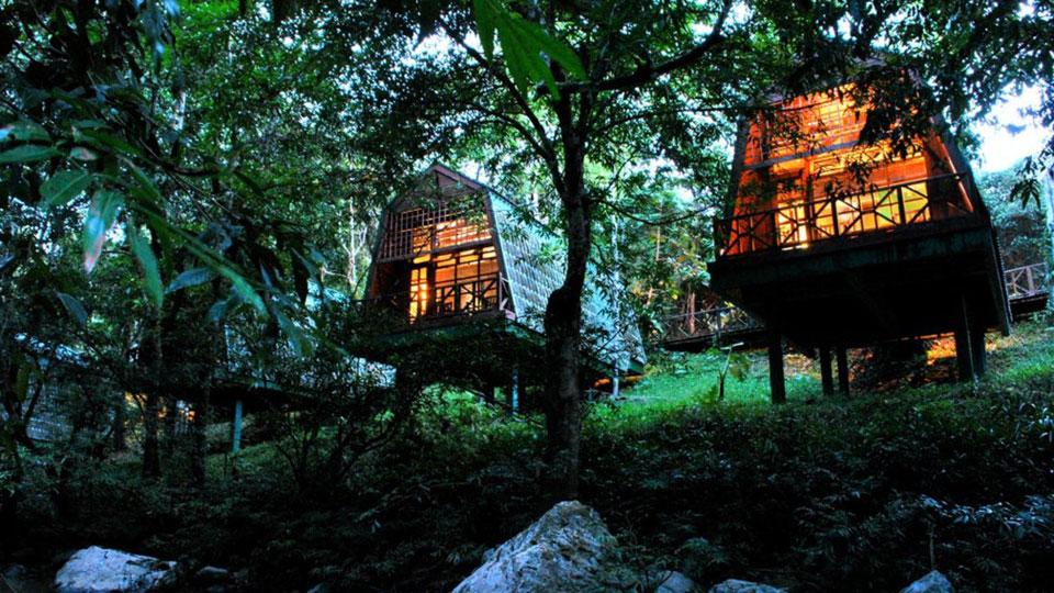 3  Days 2 Nights Tabin Wildlife Safari