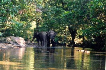 2 Days 1 Night Tabin Wildlife Safari