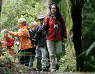 Full Day Gaya Trekking & Sapi Island Trip